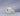 color_comet-ivory
