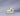 color_silicon-sand
