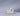 color_comet-ivory