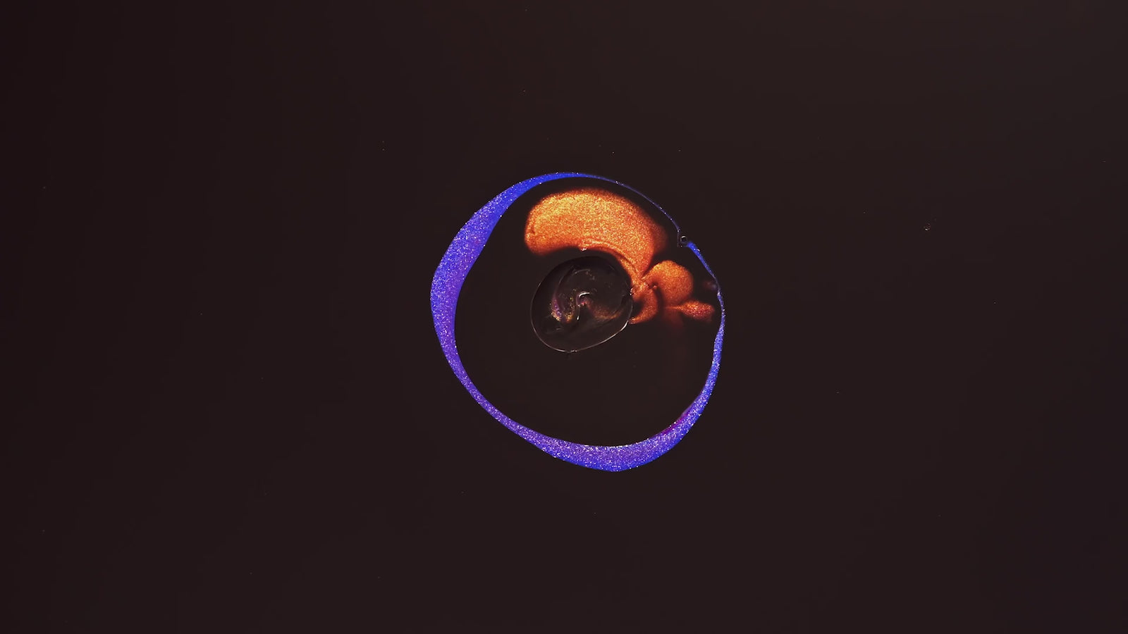 A dynamic video showcasing innovative design breaking traditional conventions, highlighting modern elements with a focus on creativity and uniqueness